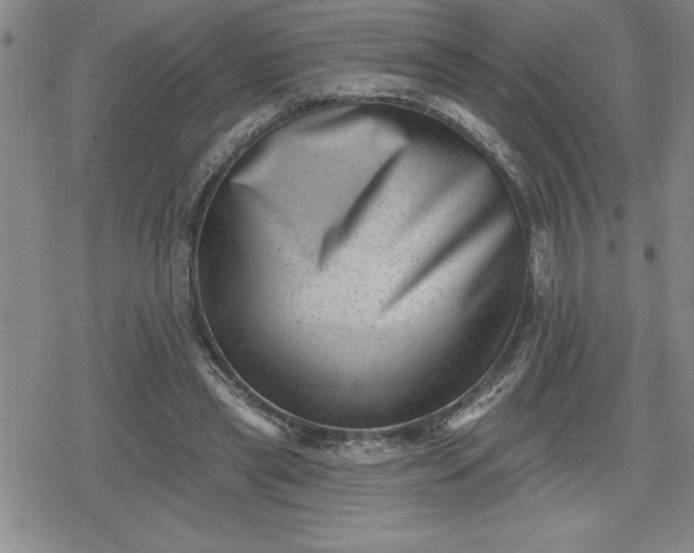 X0000080180445200612221320