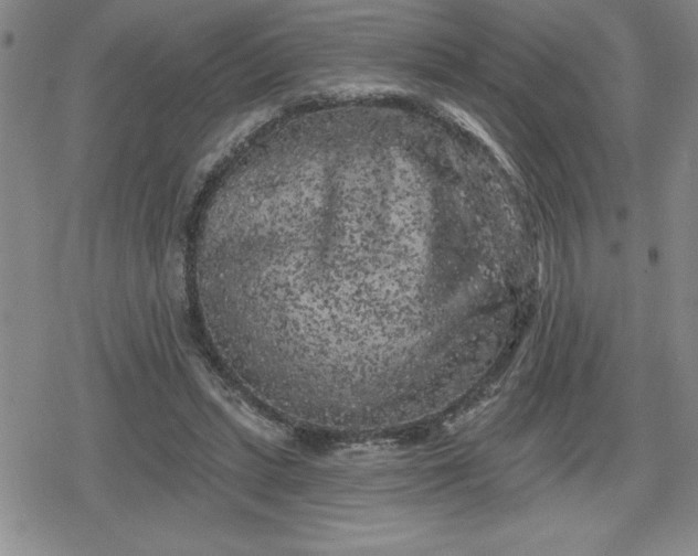 X0000080180447200612221320