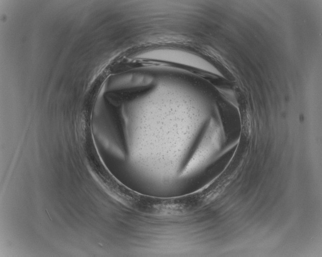 X0000080180448200612221320