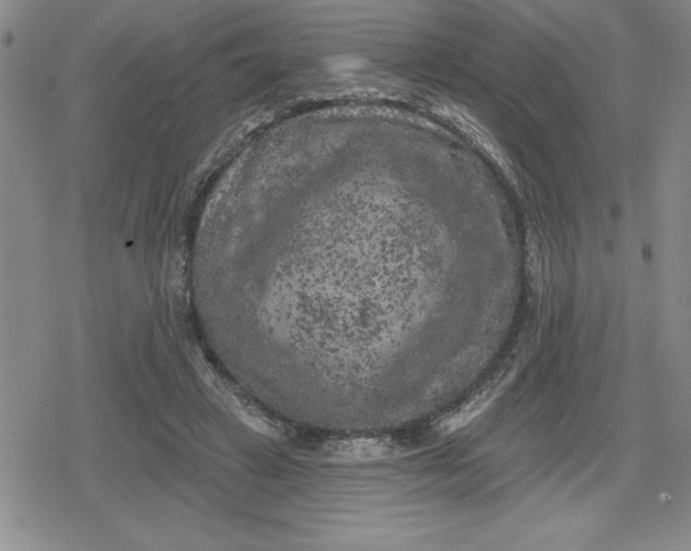 X0000080180449200612221320