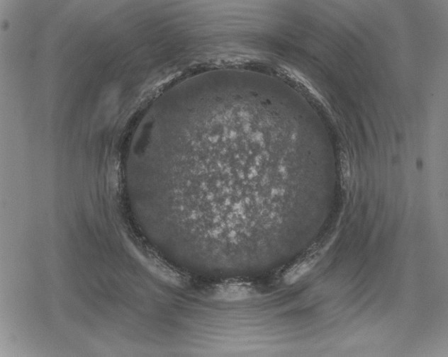 X0000080180451200612221320