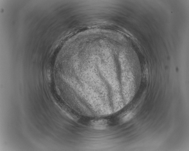 X0000080180452200612221320