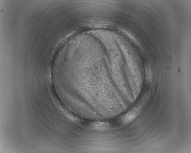 X0000080180453200612221320