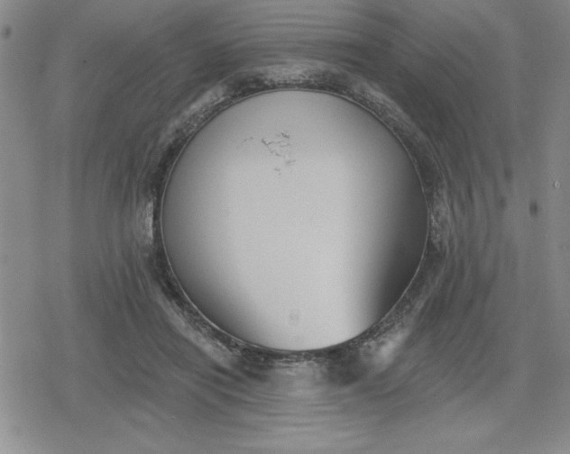 X0000080180454200612221320