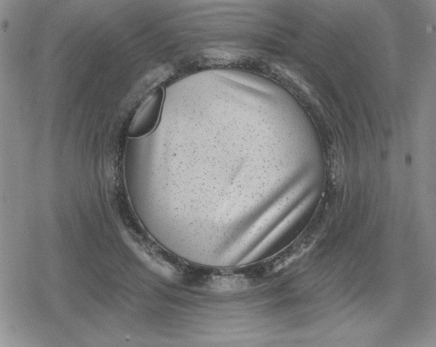 X0000080180455200612221320