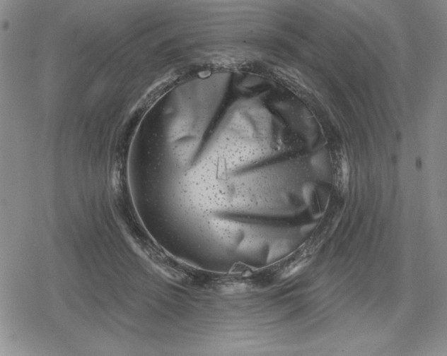 X0000080180456200612221320