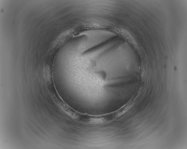 X0000080180457200612221320