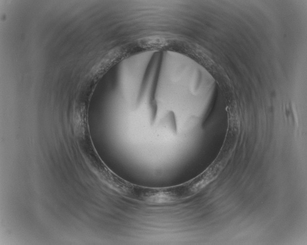 X0000080180460200612221320