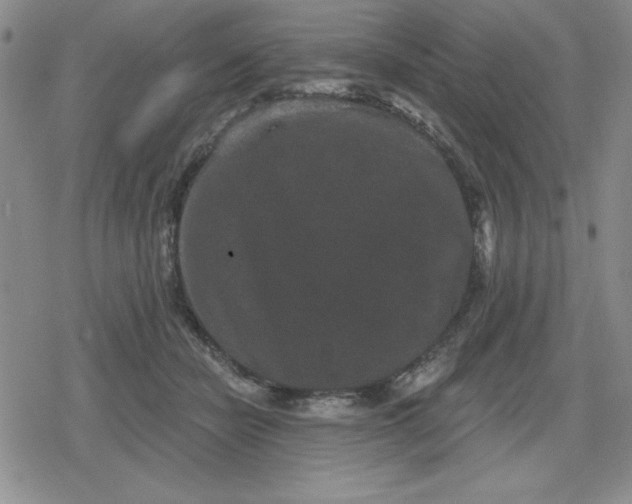 X0000080180462200612221320