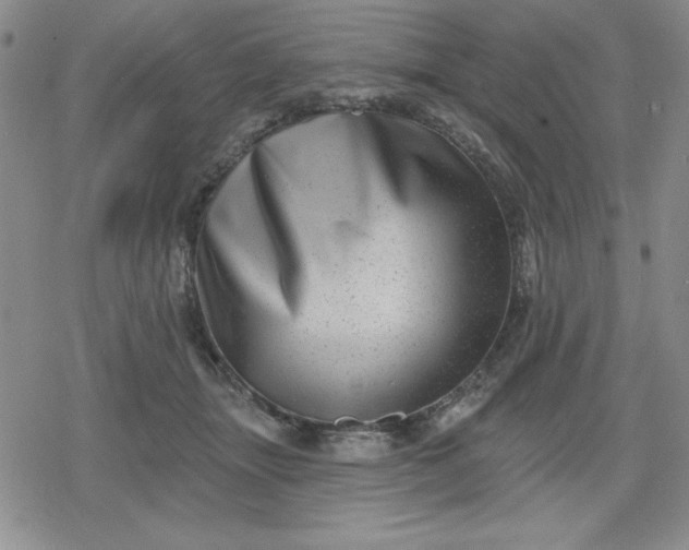 X0000080180463200612221320