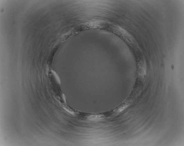 X0000080180465200612221320