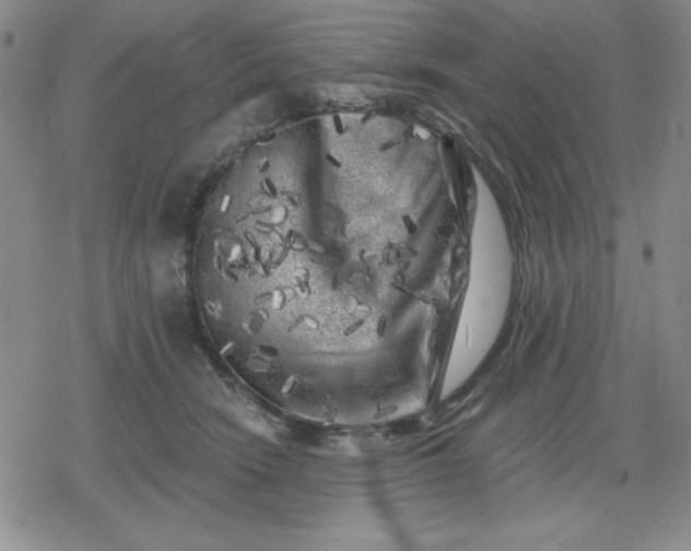 X0000080180466200612221320