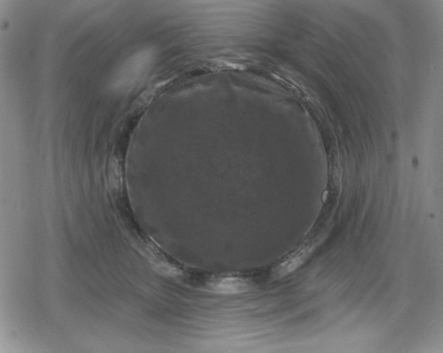 X0000080180467200612221320