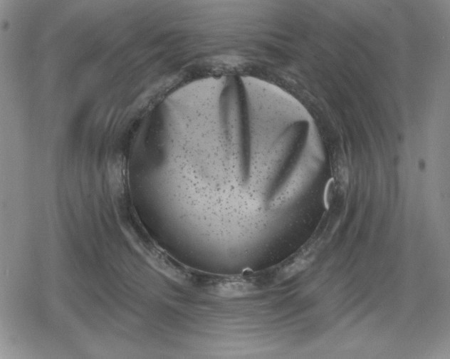 X0000080180468200612221320