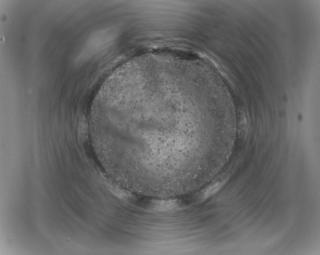 X0000080180469200612221320