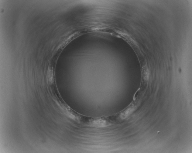 X0000080180471200612221320