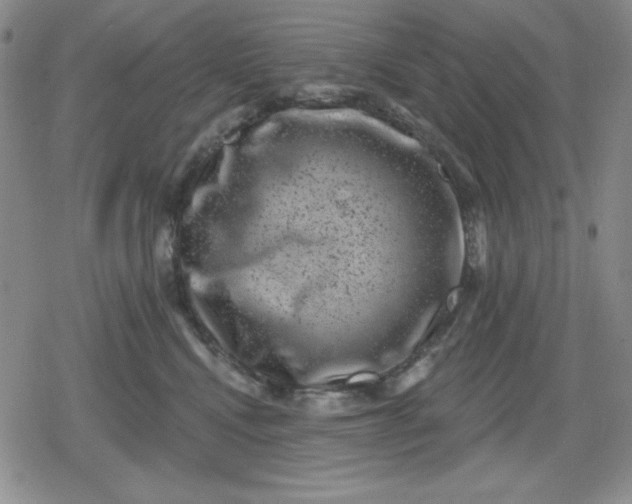 X0000080180472200612221320