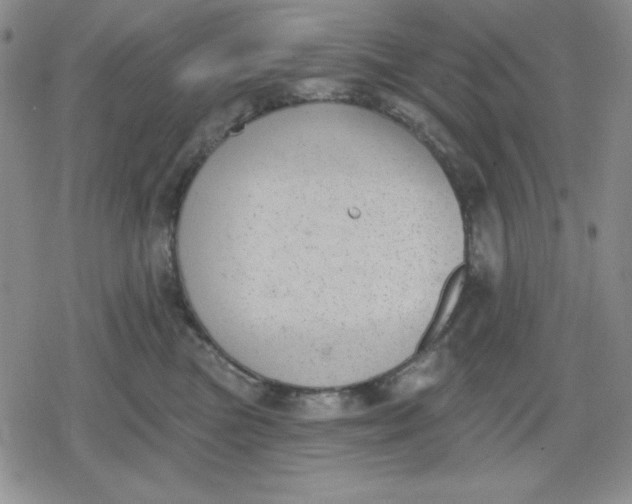 X0000080180473200612221320