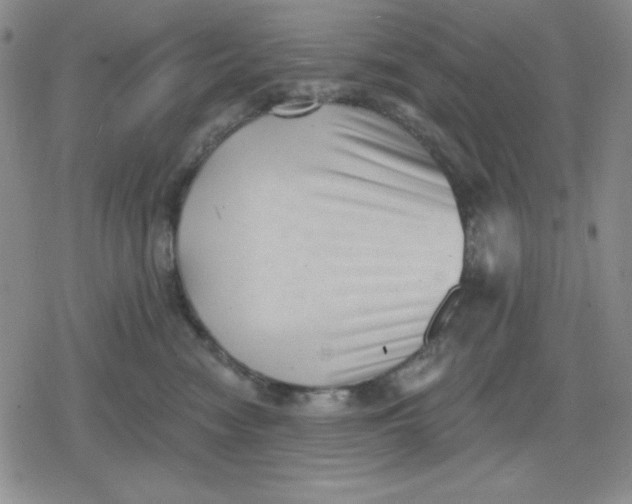 X0000080180474200612221320