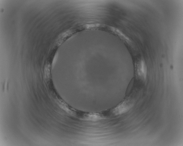 X0000080180475200612221320