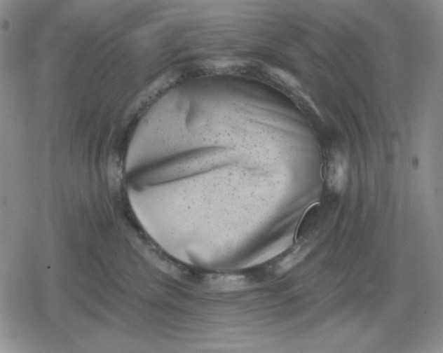 X0000080180476200612221320