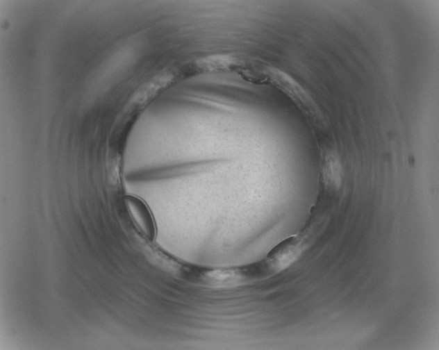 X0000080180477200612221320