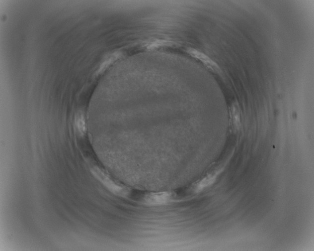 X0000080180479200612221320