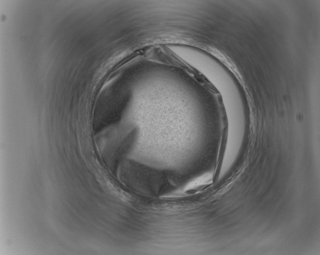 X0000080180481200612221319