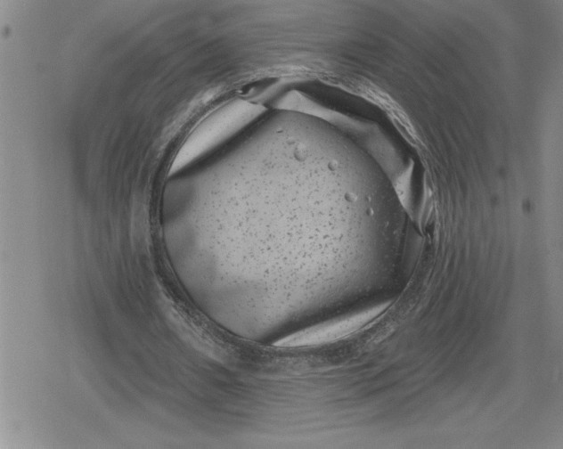 X0000080180482200612221319