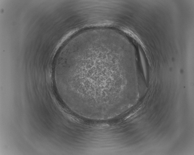 X0000080180483200612221319