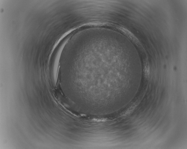 X0000080180484200612221319