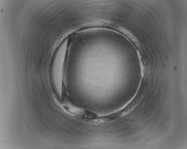 X0000080180485200612221319