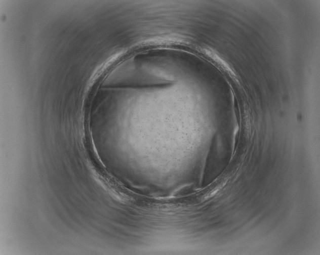 X0000080180486200612221319