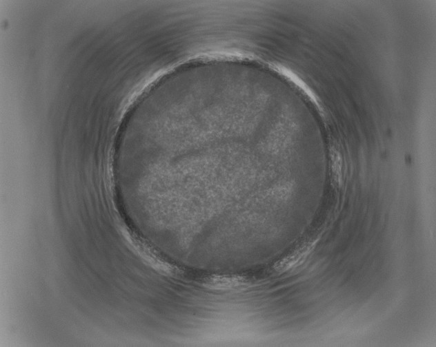 X0000080180487200612221319