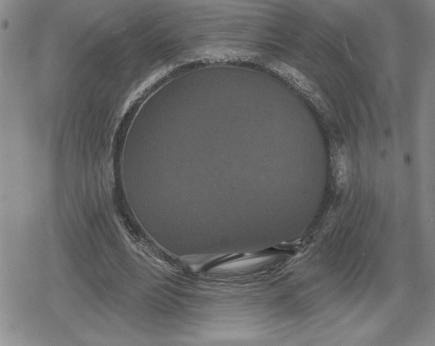 X0000080180488200612221319