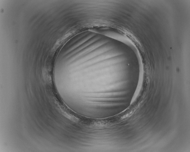 X0000080180489200612221319