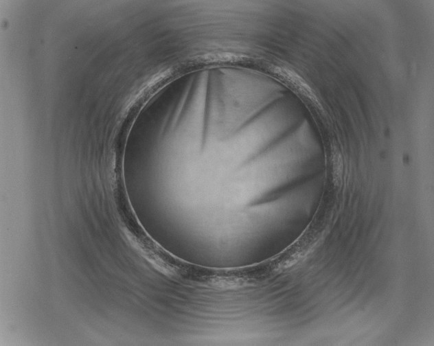 X0000080180490200612221319