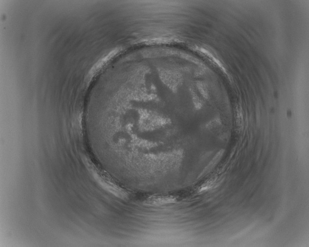 X0000080180491200612221319