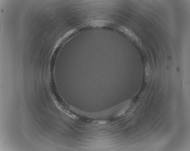 X0000080180492200612221319