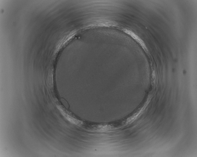 X0000080180493200612221319