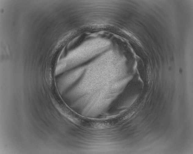 X0000080180494200612221319