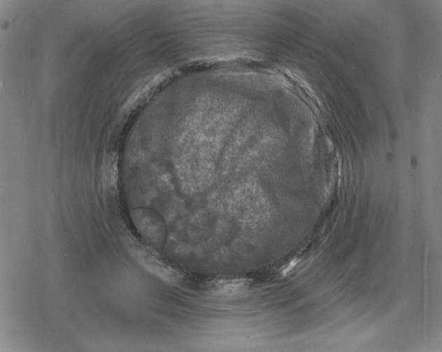 X0000080180495200612221319