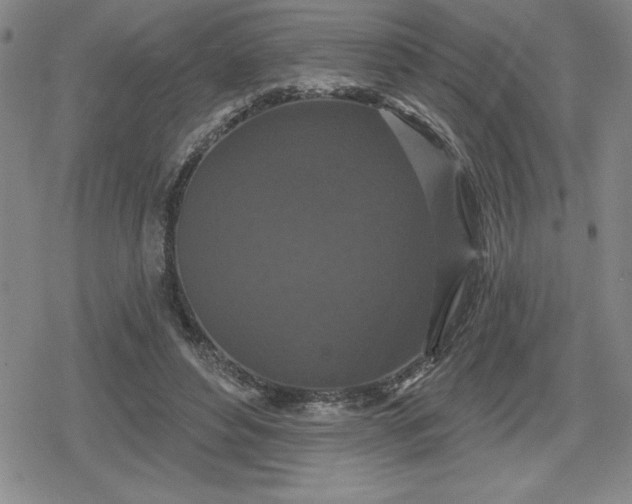 X0000080180496200612221319