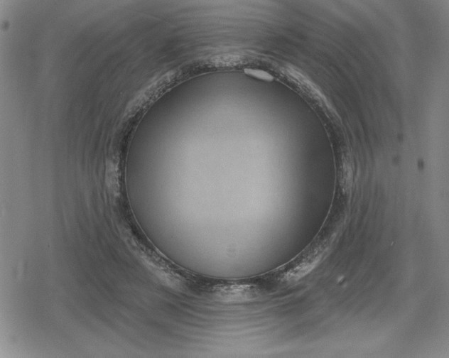 X0000080180497200612221319