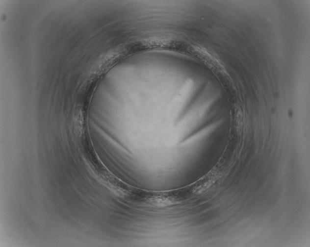 X0000080180498200612221319