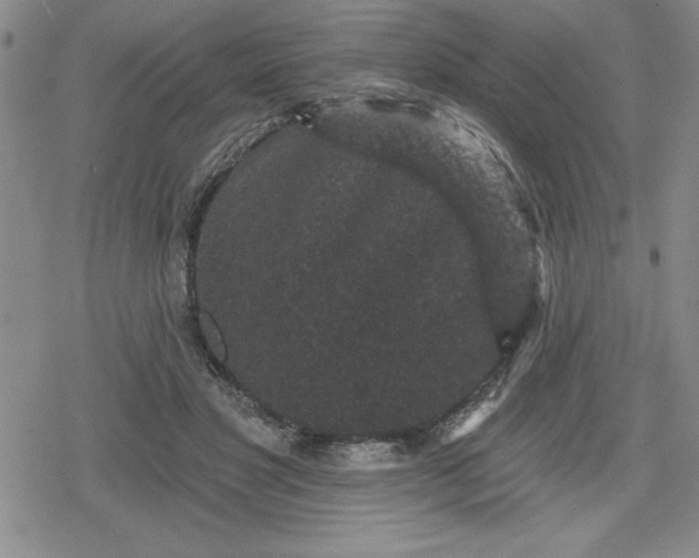 X0000080180501200612221319