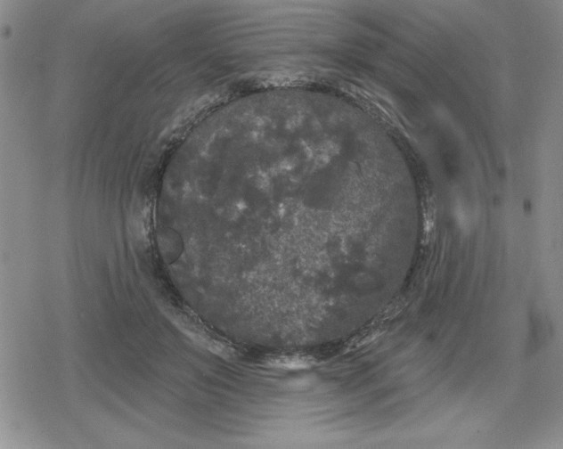 X0000080180503200612221319