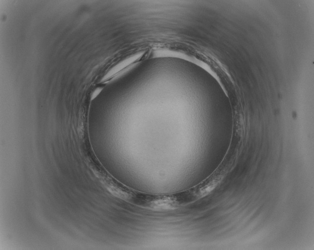 X0000080180505200612221319