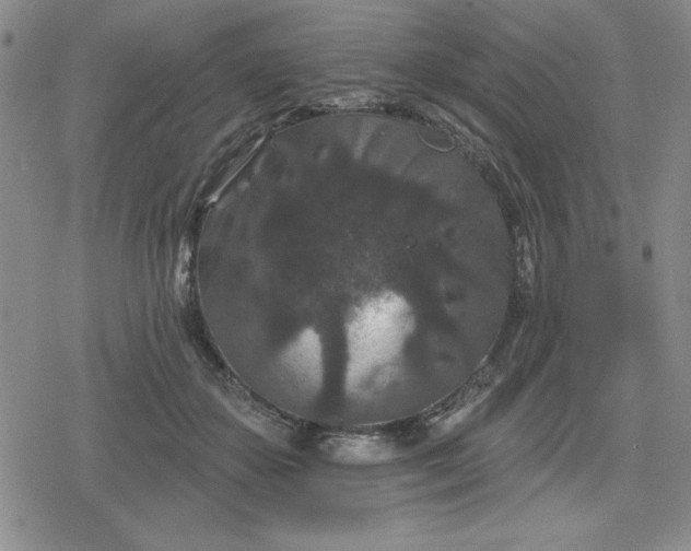 X0000080180507200612221319