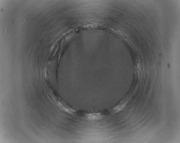 X0000080180508200612221319